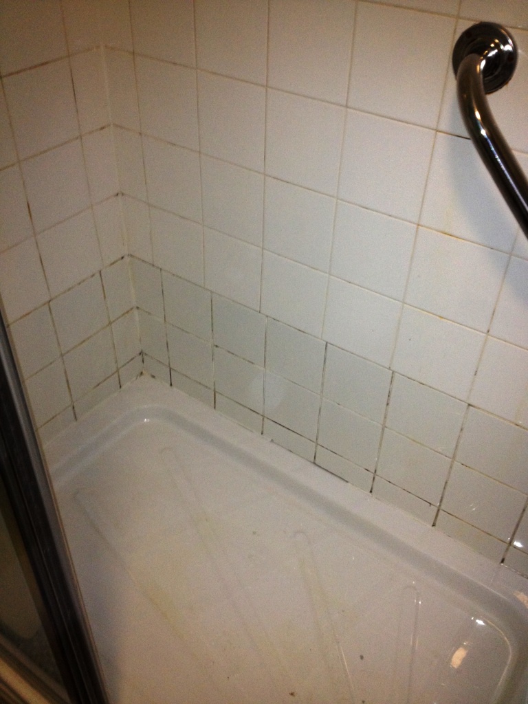 Shower Renovation Before Cleaning